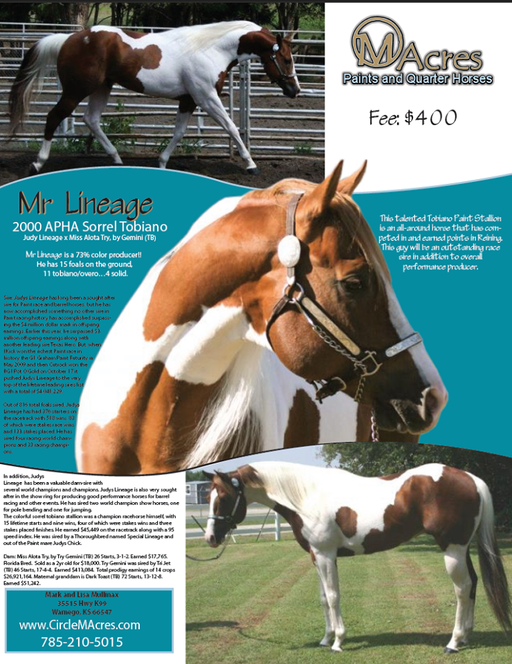 Circle M Acres Stallion Ad