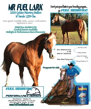 fullthrottle ranch flyer