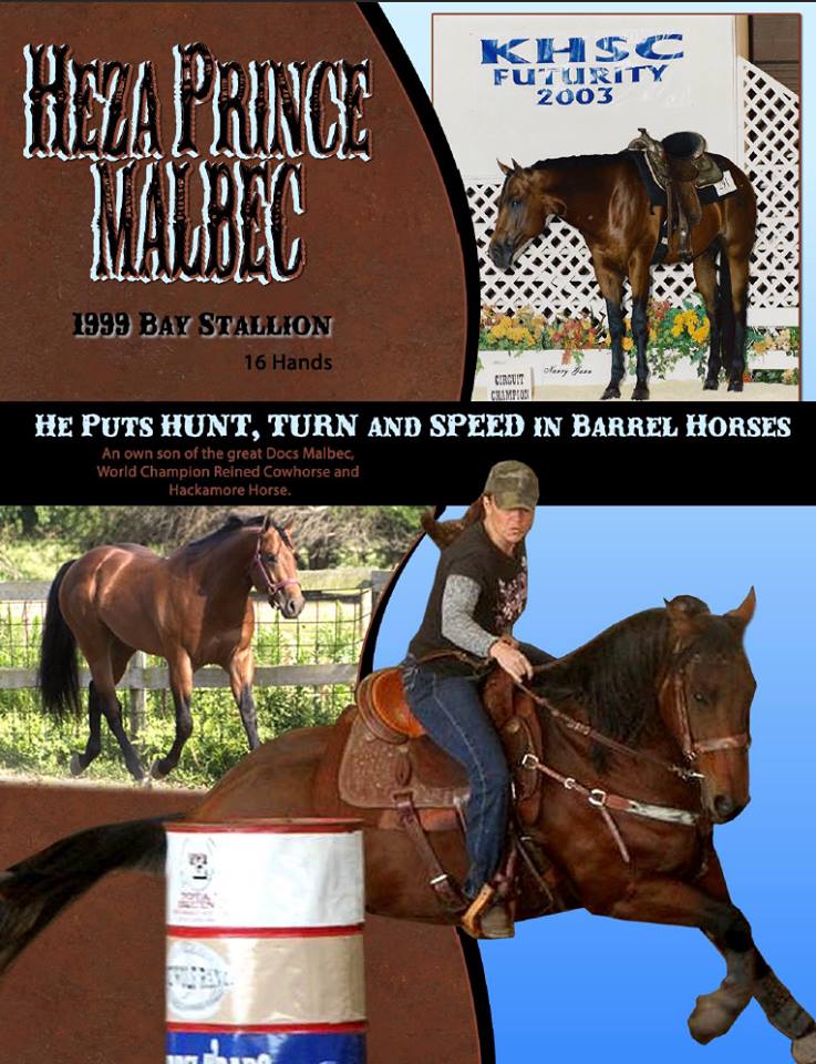 Hexa Prince Malbec flyer