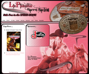 Liz Pinkston Barrel Racing