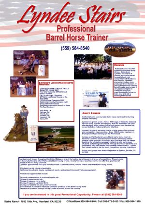 Lydee Stairs Professional Horse Trainer