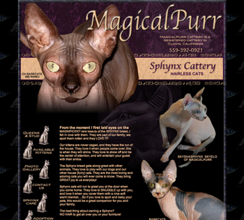 Magical Purr