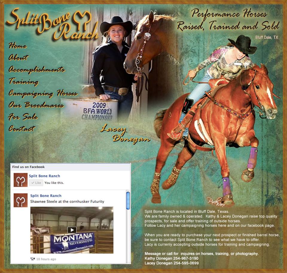 Split Bone Ranch Lacey Donegan