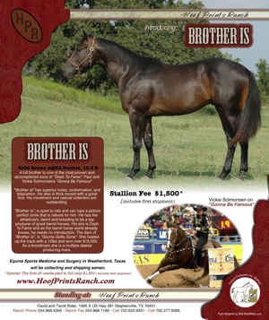 brother is stallion flyer